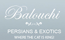 Balouchi