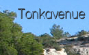 Tonkavenue