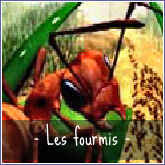 les Fourmis