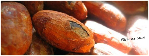 fves de cacao