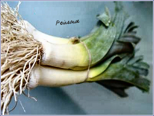 poireaux
