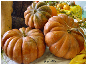 potiron