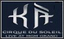 R, Cirque du Soleil